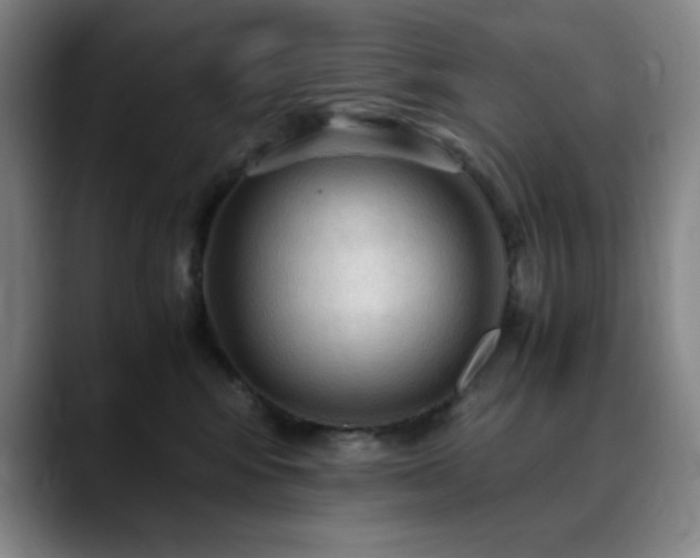X0000090620424200707171439