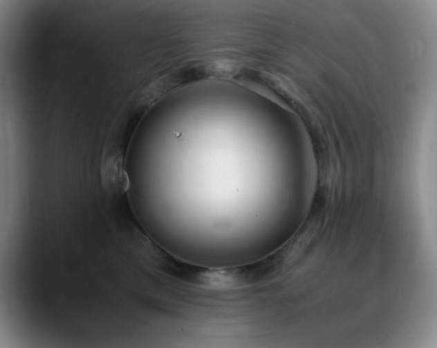 X0000090620425200707171438