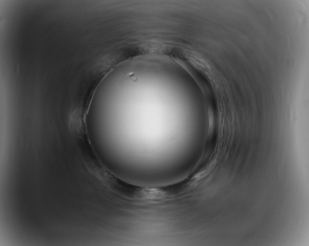 X0000090620429200707171438