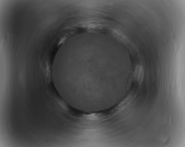 X0000090620430200707171438