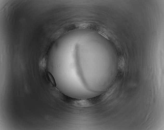 X0000090620431200707171438