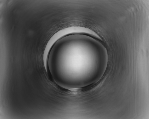 X0000090620432200707171438