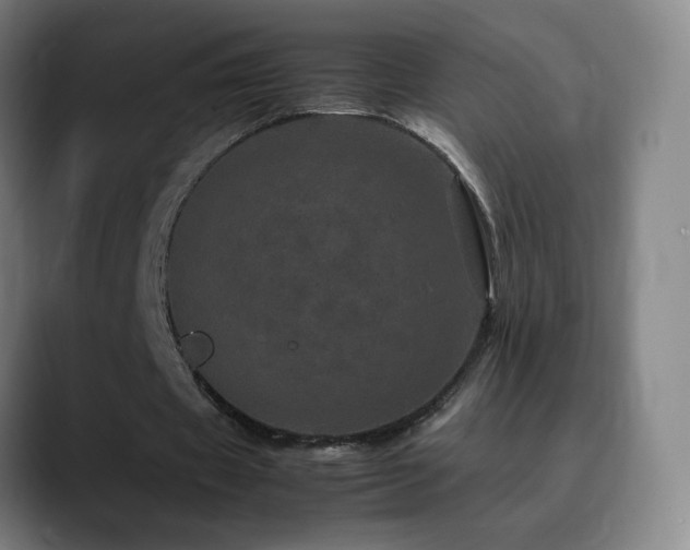 X0000090620433200707171438