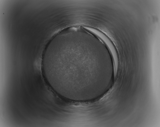 X0000090620434200707171438