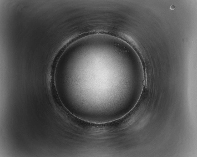 X0000090620435200707171438