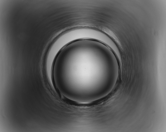 X0000090620436200707171438
