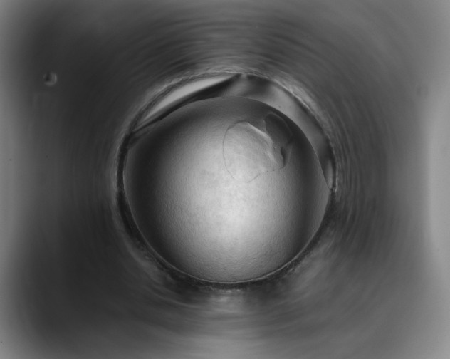 X0000090620438200707171438