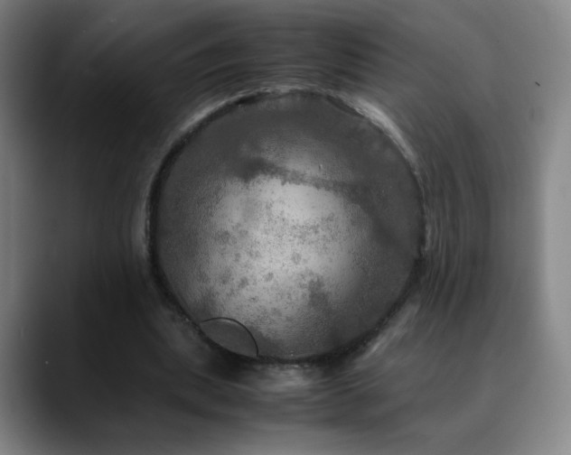 X0000090620439200707171438