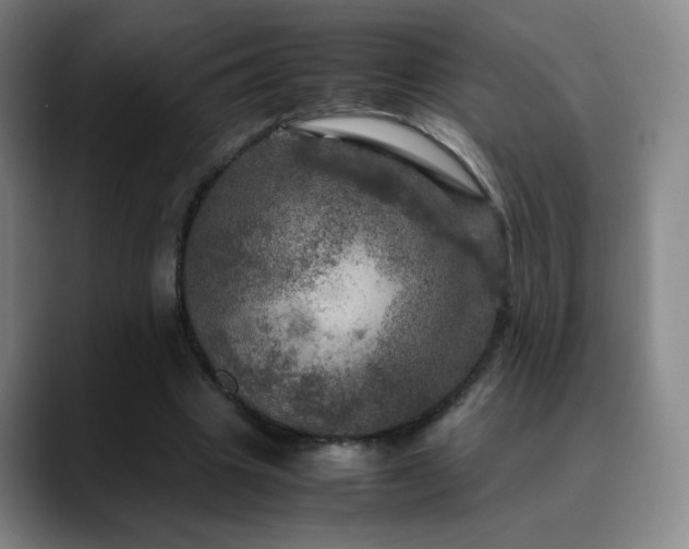X0000090620441200707171438