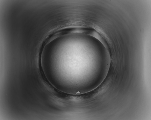 X0000090620442200707171438