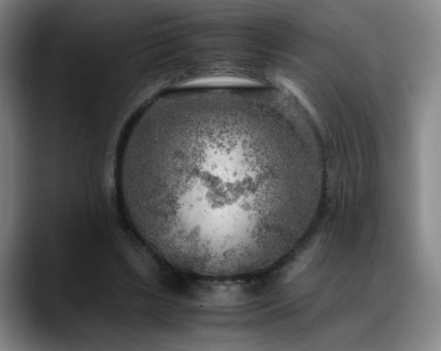 X0000090620443200707171438