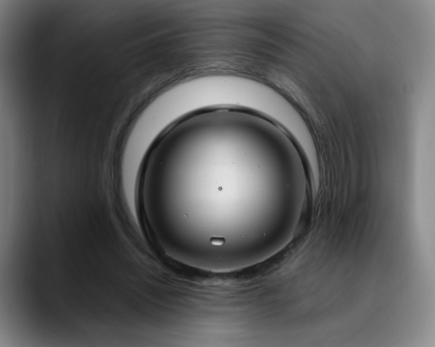 X0000090620444200707171438