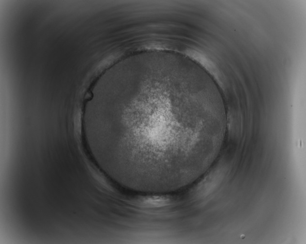 X0000090620445200707171438