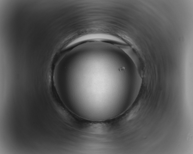 X0000090620446200707171438