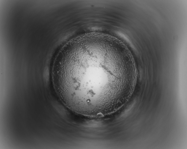 X0000090620447200707171438