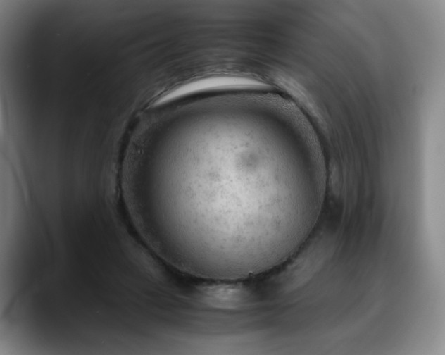 X0000090620449200707171438