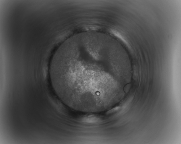X0000090620451200707171438