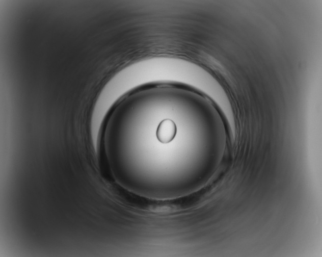X0000090620452200707171438