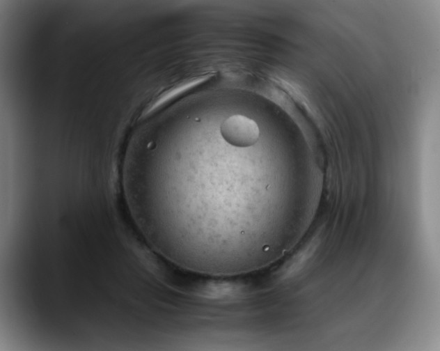 X0000090620453200707171438
