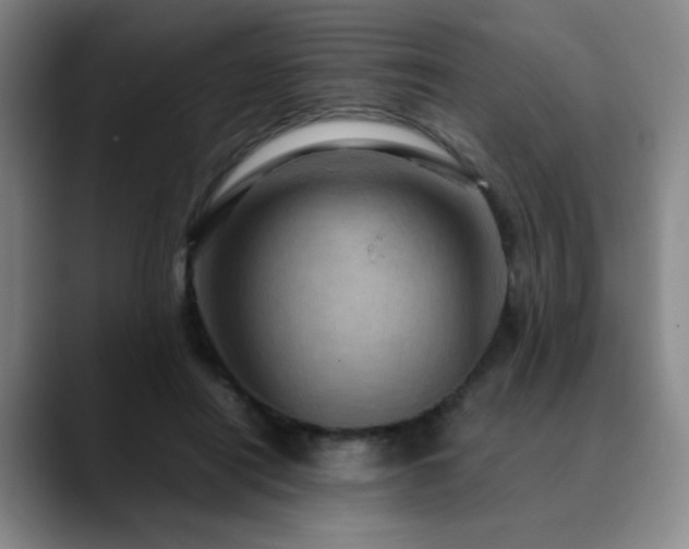 X0000090620454200707171438