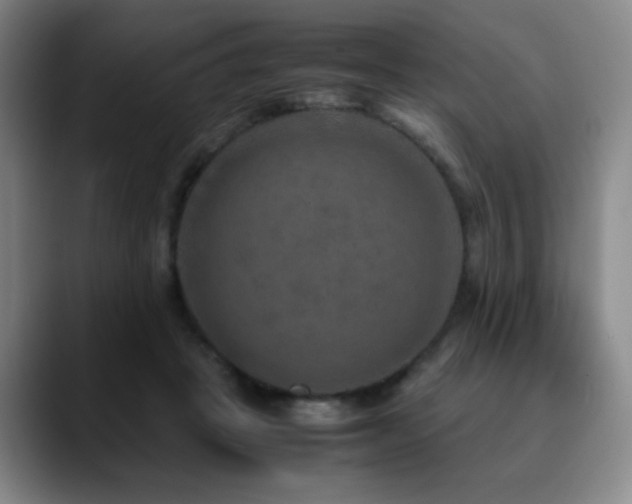 X0000090620457200707171438