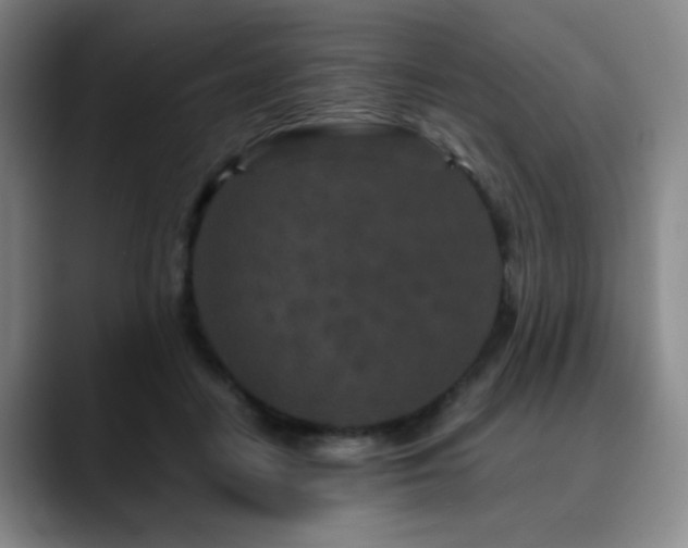 X0000090620458200707171438