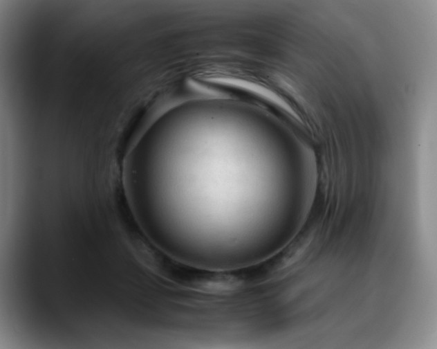 X0000090620459200707171438