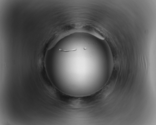 X0000090620460200707171438