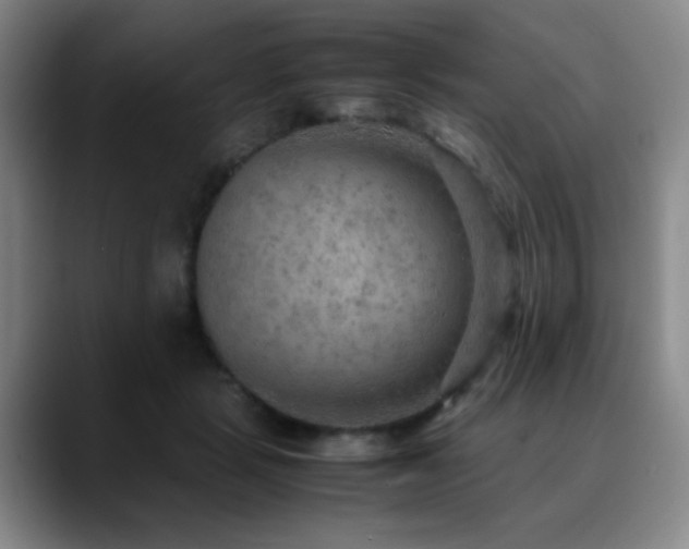 X0000090620461200707171438