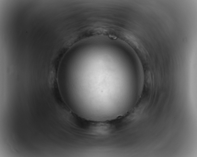 X0000090620463200707171438