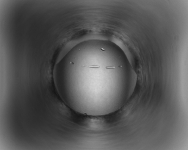 X0000090620466200707171438