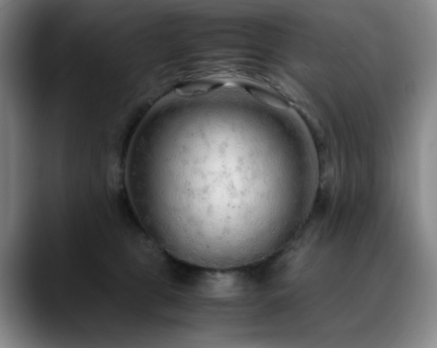 X0000090620469200707171438