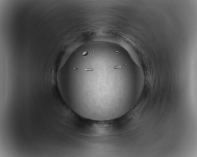 X0000090620470200707171438