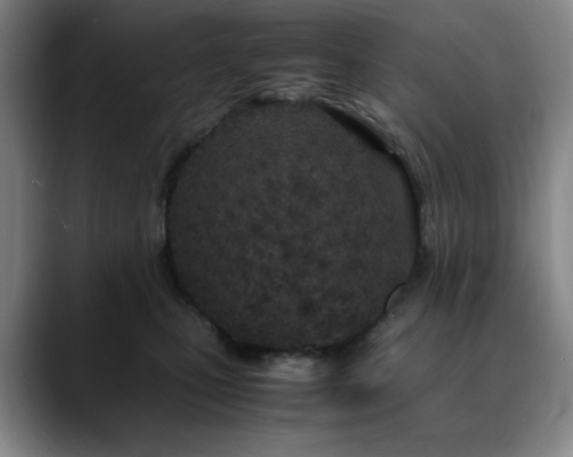 X0000090620471200707171438