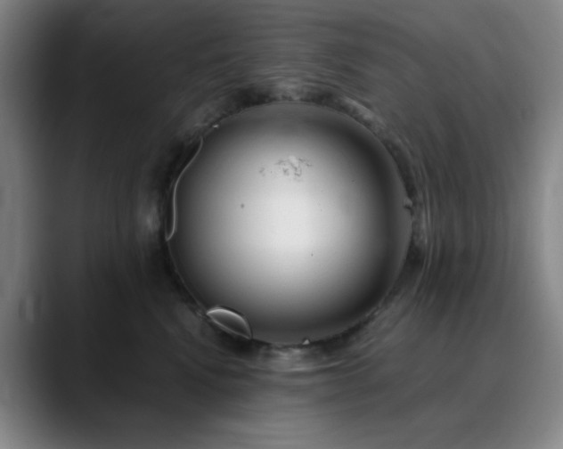 X0000090620472200707171438