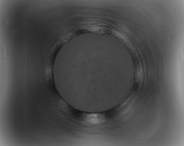 X0000090620473200707171438