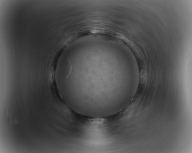 X0000090620474200707171438