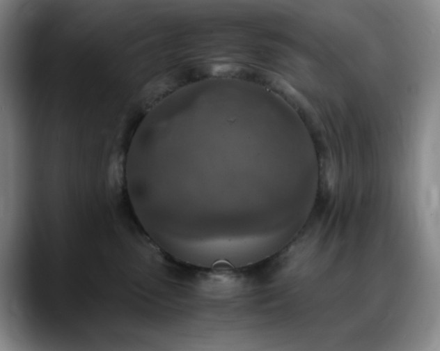 X0000090620475200707171438