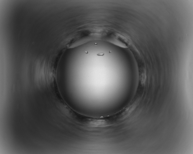 X0000090620476200707171438