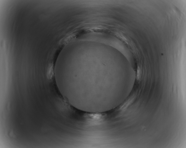 X0000090620478200707171438
