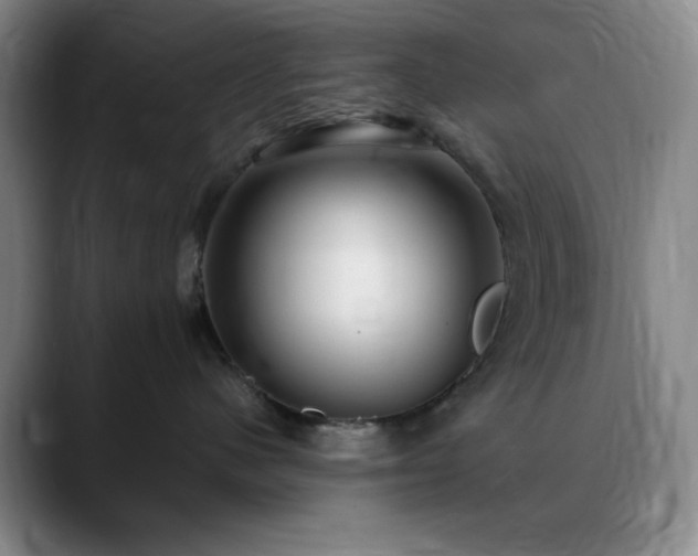 X0000090620480200707171438