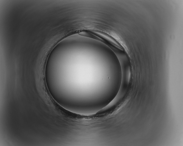 X0000090620481200707171438