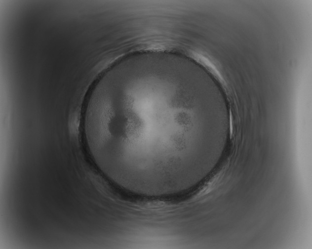 X0000090620483200707171438