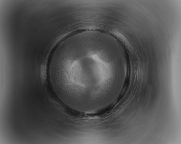 X0000090620484200707171438