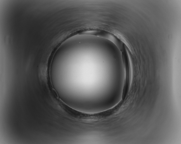 X0000090620485200707171438