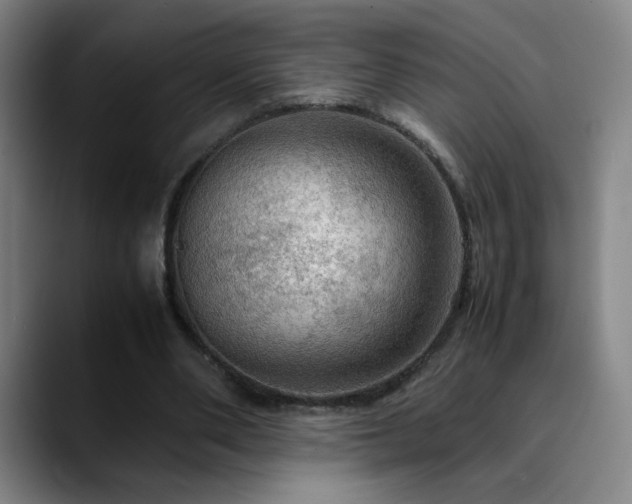 X0000090620486200707171438