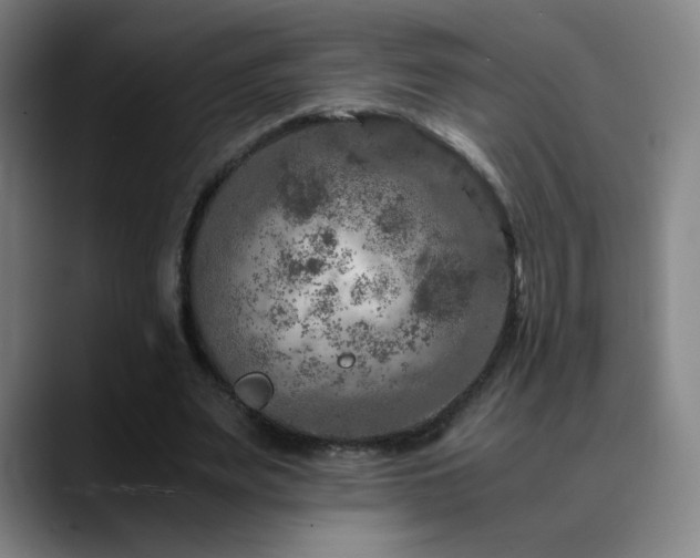 X0000090620487200707171438