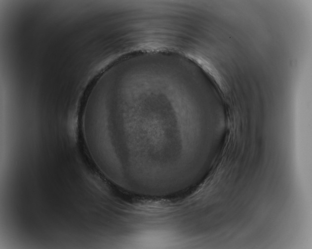 X0000090620488200707171438