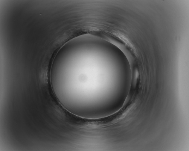 X0000090620489200707171438