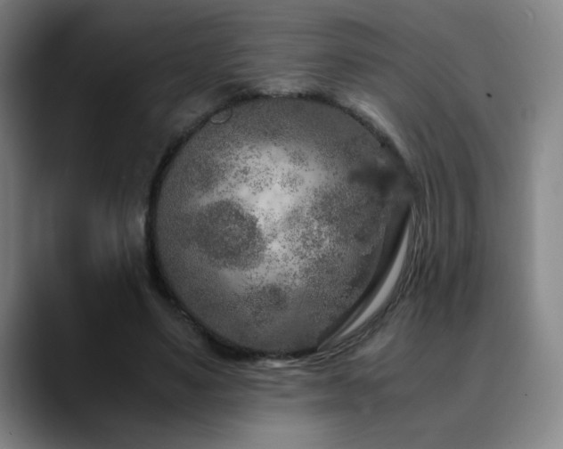 X0000090620491200707171438